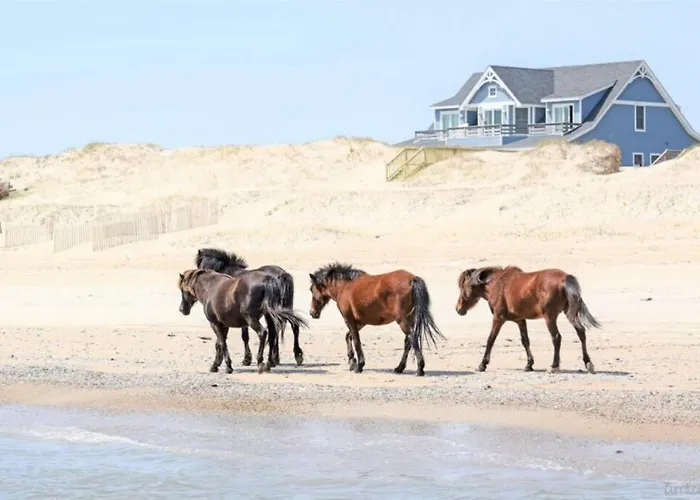 Oceanfront With Private Beach Access & Wild Horses