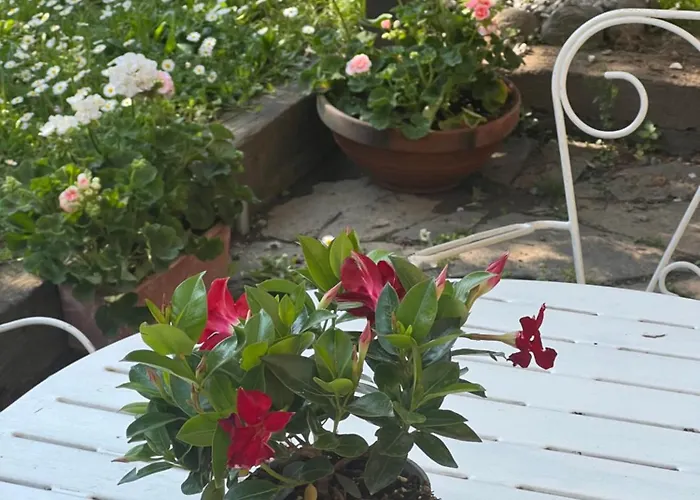 Nuova Casa Vacanze Nonna Prassede Con Giardino E Posto Auto