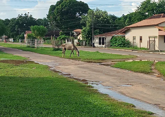 Suite das Mangueiras