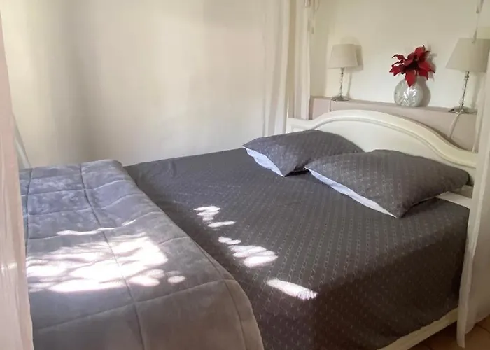 Zen Et Cosy, Calme Absolu Parking Prive Jardin,Ideal Proche De Cannes