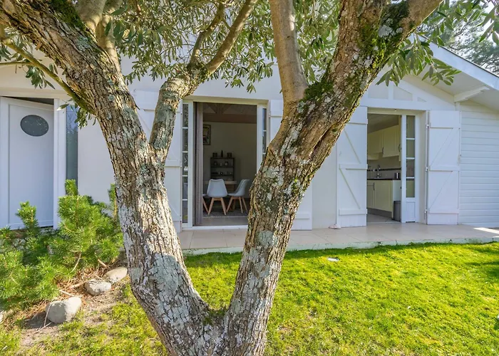 Ma Villa Chez Archie, Pour Des Vacances Bucoliques