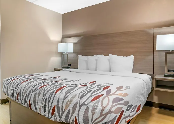 Red Roof Inn Detroit-Rochester Hills/ Auburn Hills