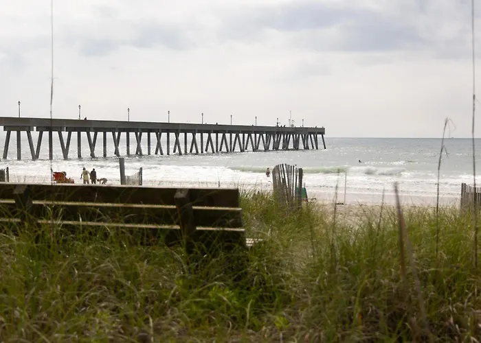 The Little Palm Room - Wrightsville Beach