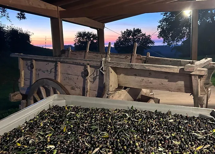 Agriturismo Colle Donatucci