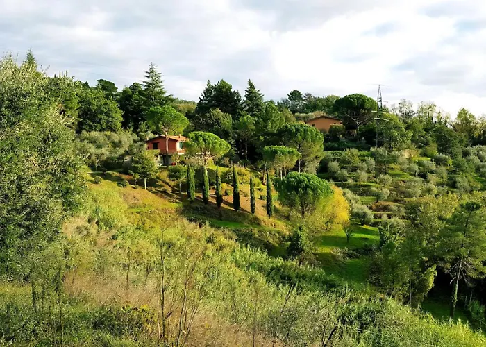 Typical Tuscan Villa With Exclusive Pool & Private Parking - Casa Paola