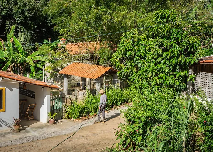 Saíra Recanto de Serra