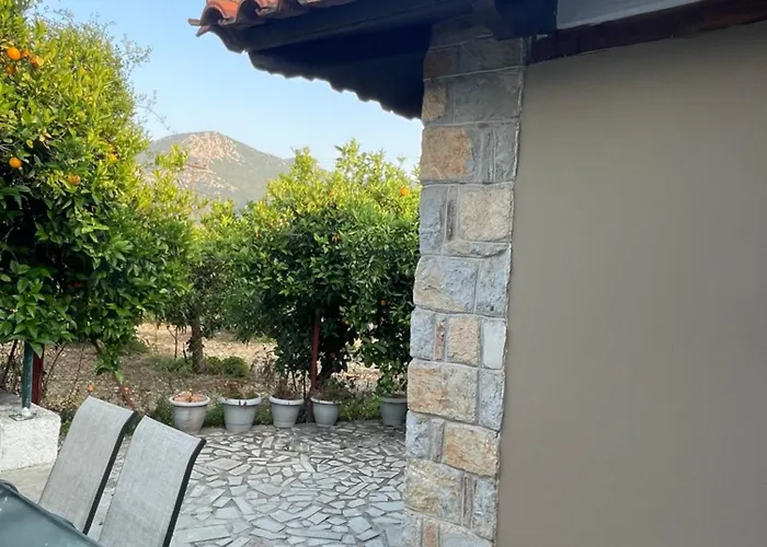 Citrus Garden