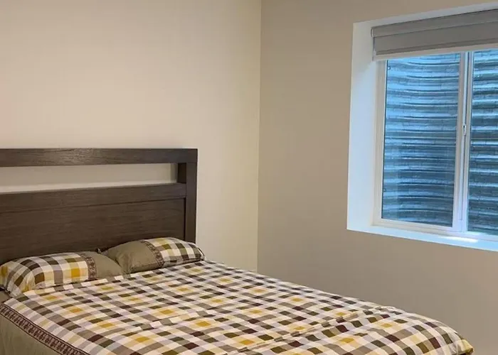 Basement Suite -Langley Willoughby