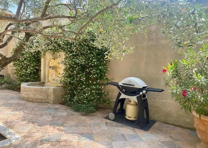 Le Patio Provencal-Maison Avec Cour Privee