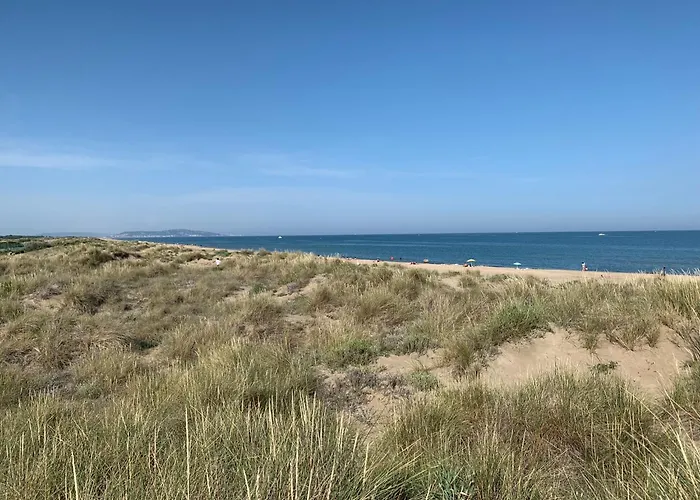 Mon Petit Paradis: Beachfront Dune Views with Private Terrace