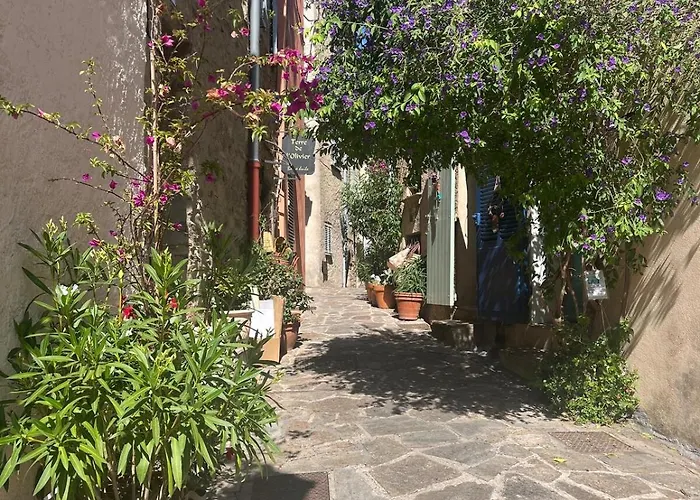 Authentic Ramatuelle Village House