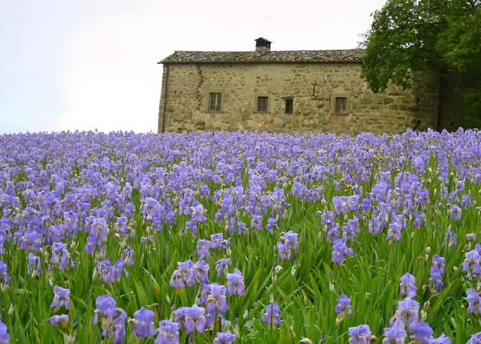 Castello Di Pianettole 3 Camere Da Letto Matrimoniali