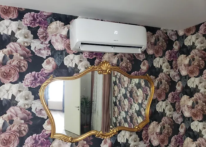 Mirka & Franck Aircon Clim, Apartment Chic, Garage & Parking Free Included