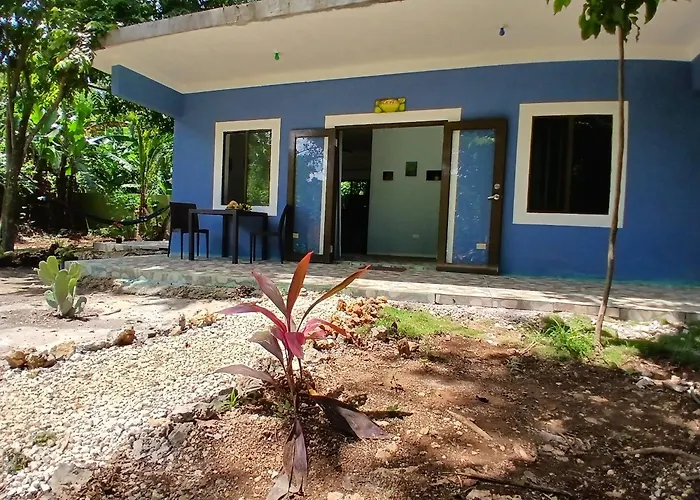 Jack Fruit House