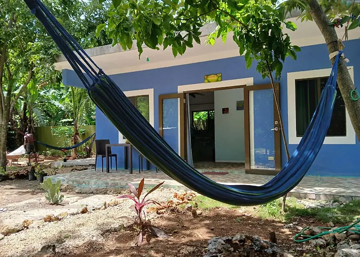 Jack Fruit House