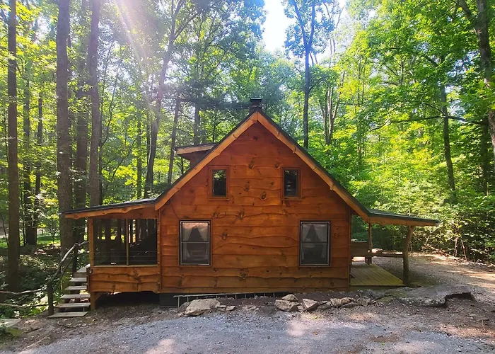 Ma & Pa'S Cabin At Cabin Fever In Nc