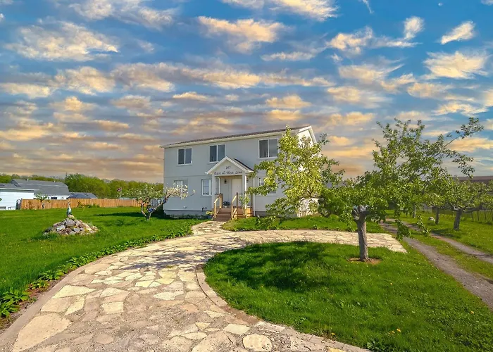 Wonderful House