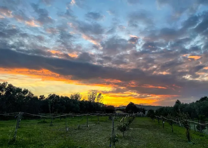 Villa Claudia - Appartamento B