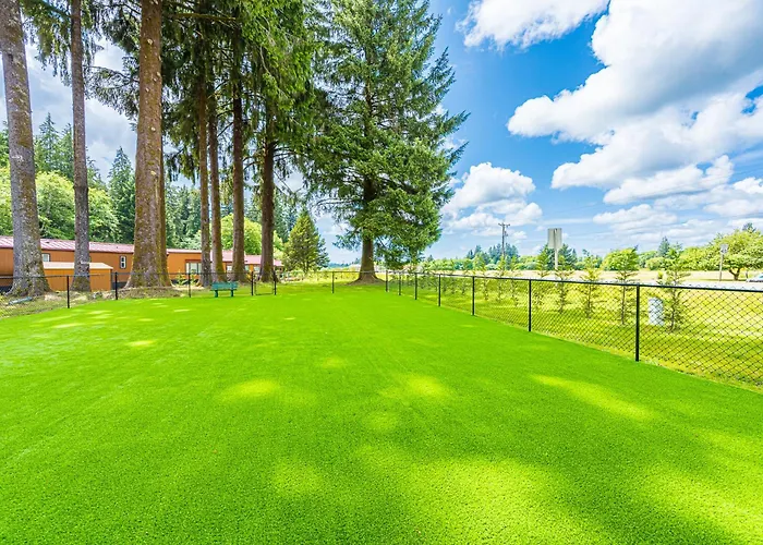 Rainforest Tiny Home Retreat Woodsy