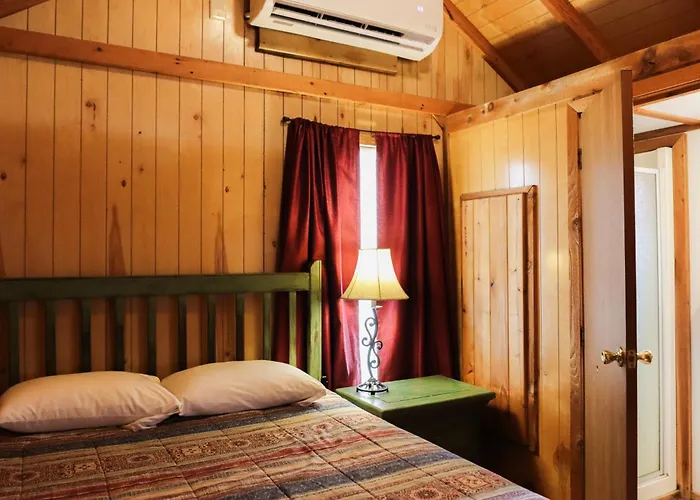 Lakeview Cedar Cabin - The Birds Nest - 1