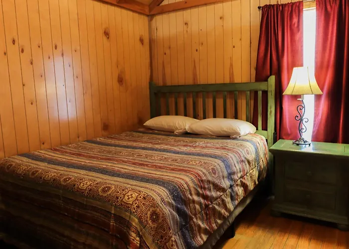 Lakeview Cedar Cabin - The Birds Nest - 1