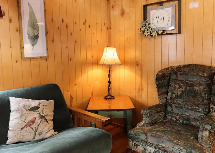 Lakeview Cedar Cabin - The Birds Nest - 1