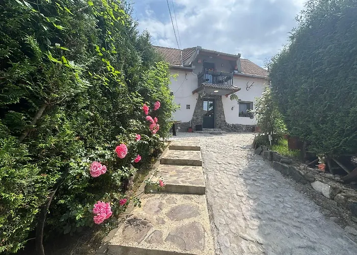 Cazare La Luiza