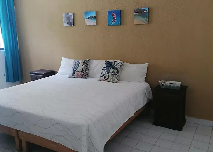 Casa Zen Santa Cruz