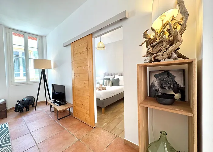 Appartements Climatises - Vieil Antibes