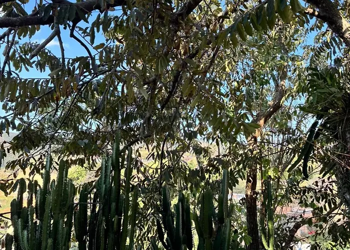 Casa de Luz - Lar na Serra - Duplo ou Triplo