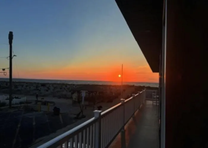 Ocean Avenue Oasis