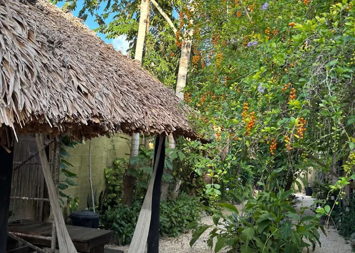 Jungla Bacalar