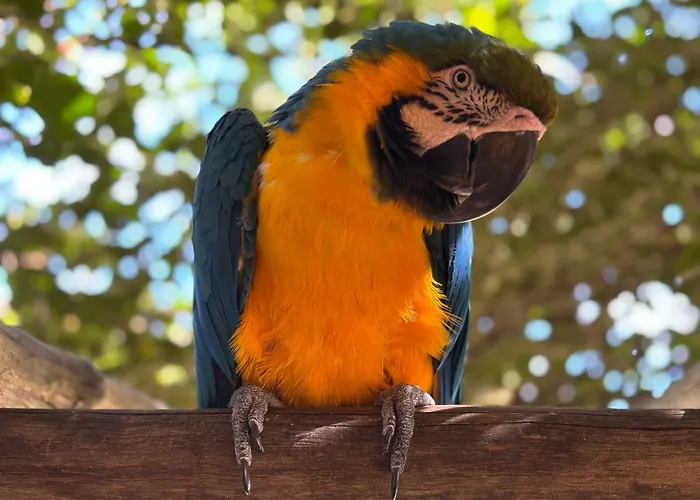 Pousada Estancia Travessia
