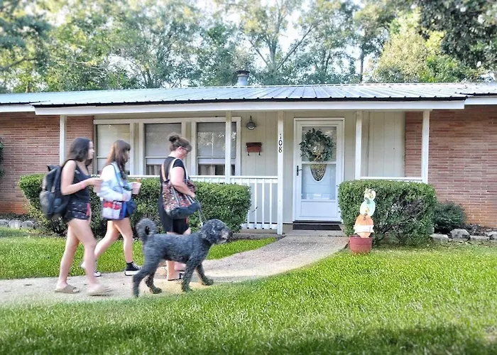 3 Bedroom Home In The Heart Of Mccomb Fenced Yard