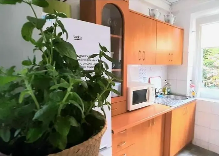Pod Sloneczkiem 2