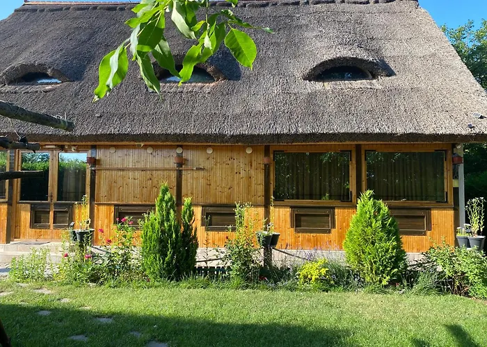 Casa Flavia