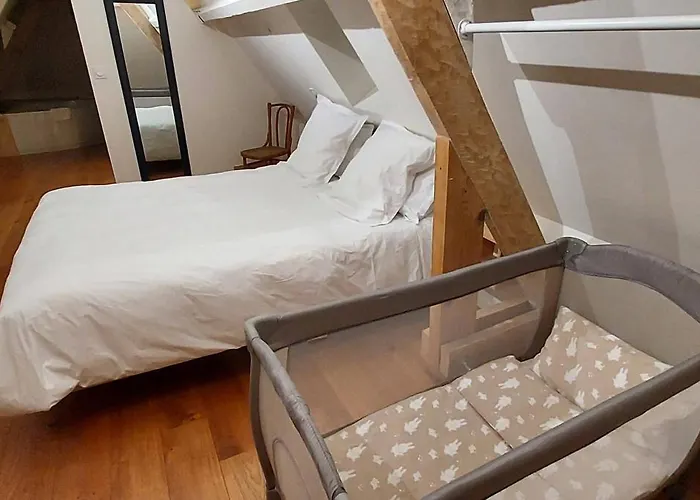 Le Bois Flotté - Maison au cœur de la Loire entre ville et nature