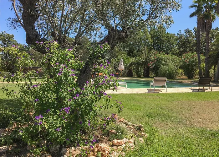 Pet Friendly Home In Ramatuelle