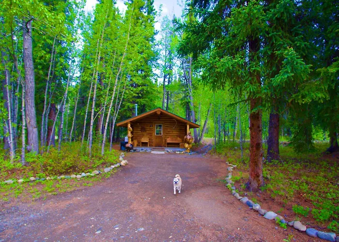 Carlo Creek Cabins