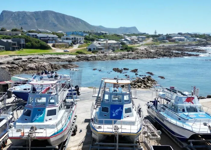 White Shark Guest House