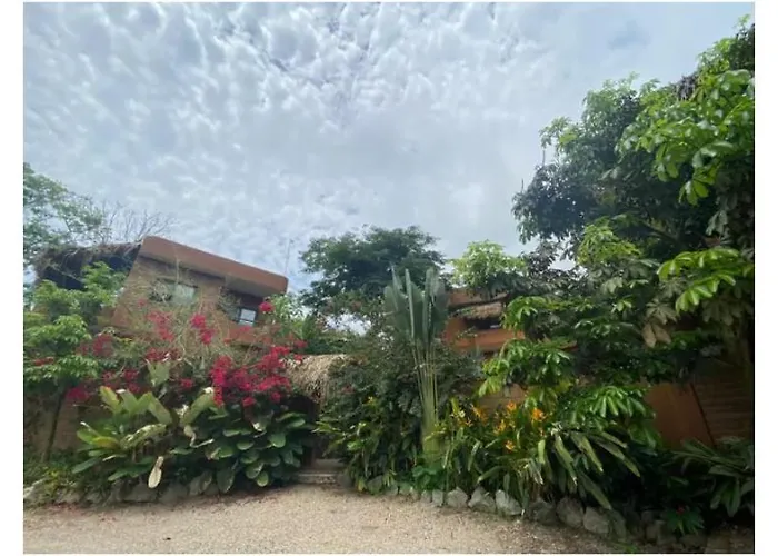 Casa De Los Pajaros