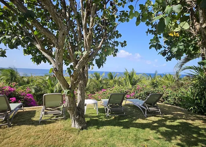 Villa Guadeloupe Saint Francois Acces Mer Piscine Iguana Bay - Villa Zagadi