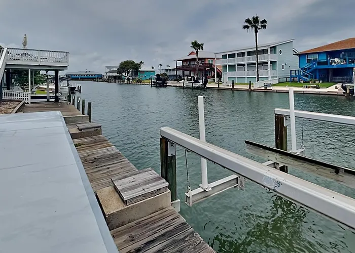 Dolphin Paradise