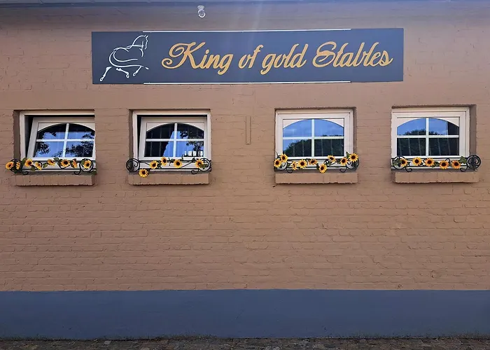 King of Gold Stables appartement met stalling voor 5 paarden