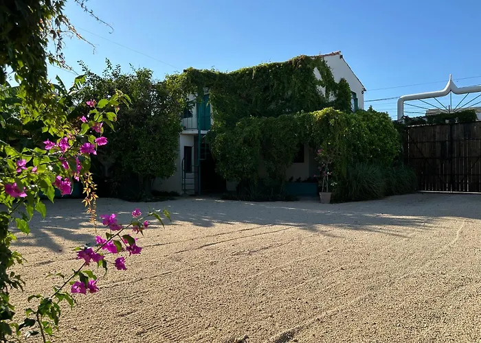 Cabo Bohemia Tropical Garden Studios
