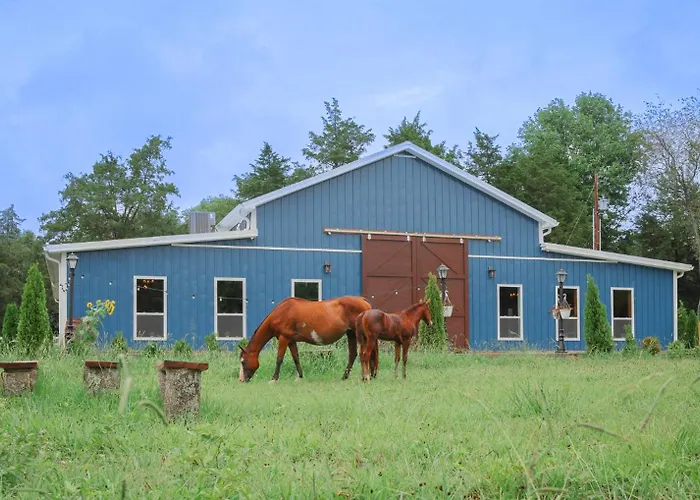The Blue Barn At The Meadowcreek