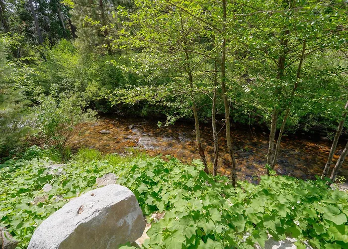 Mariposa Grove Creekside Retreat - To Be Featured On Staycation On The Destination Channel In 2026!