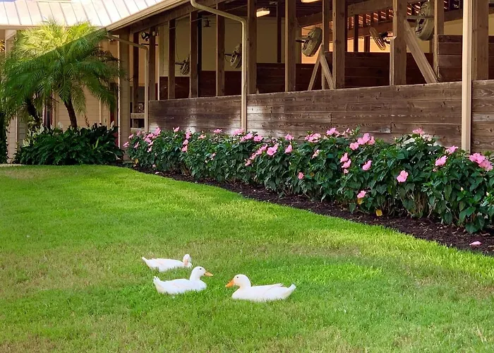 Horse Ranch Adventures - Paradise Ranch Bunkhouse