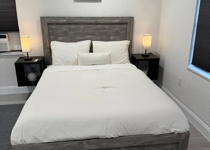 Dania Club Luxury Rentals