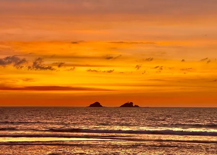 Eco Sanctuaries Nacpan Beach